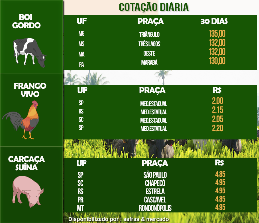Indicadores